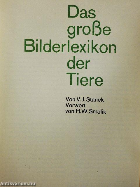 Das große Bilderlexikon der Tiere