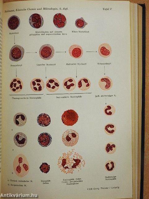 Klinische Chemie und Mikroskopie