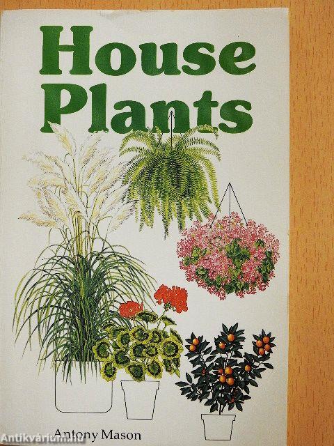 House Plants