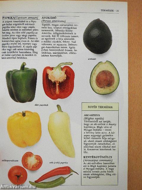 A főzés alapanyagai