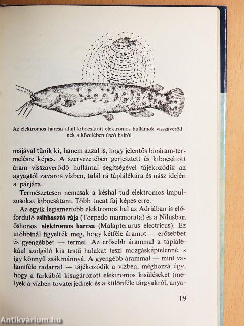 A halak ösztönei és szokásai