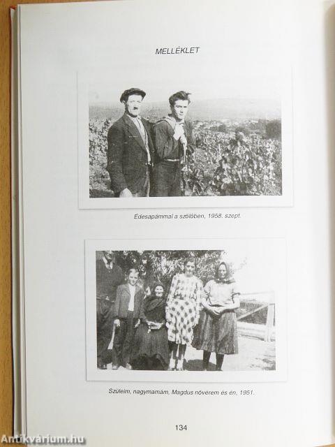 Politika és poétika