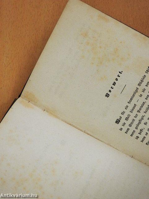 Unsrer Lieben Frau (gótbetűs)