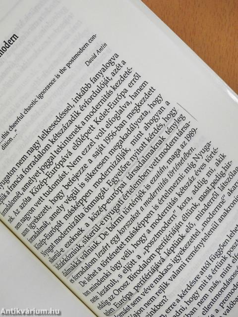 A posztmodern Heidegger (dedikált példány