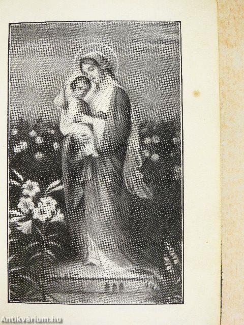 Az isteni gyermekbarátnál