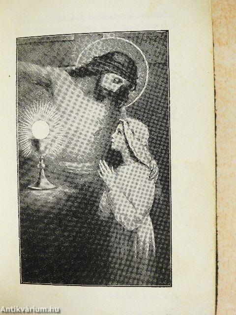 Az isteni gyermekbarátnál