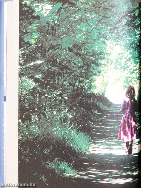 Ambler figyelmeztetés/Varázslatos óra/Csoda az Andokban/Őszintén szólva