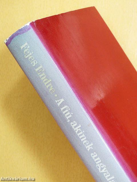 A fiú, akinek angyalarca volt