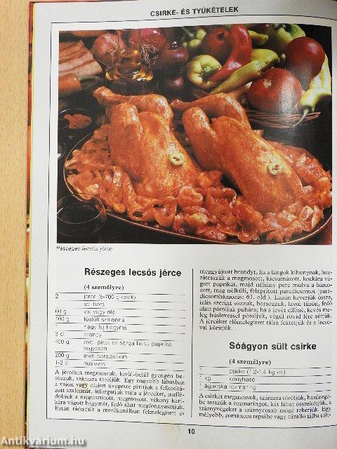 99 szárnyasétel 33 színes ételfotóval