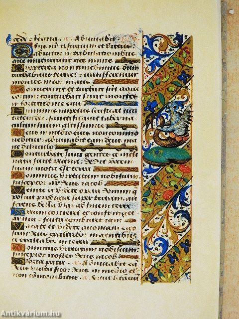 Horae Beatae Mariae Virginis