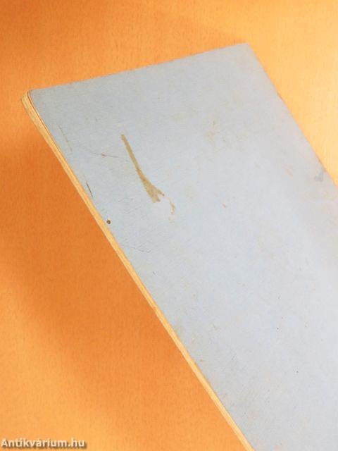 Magyar szavak világa