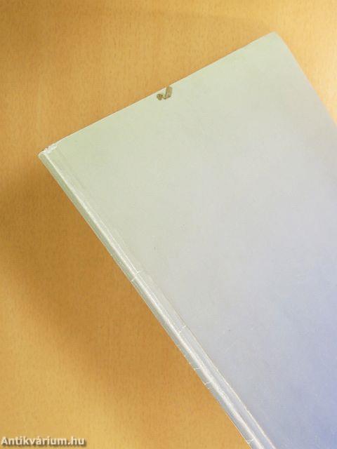 A termelékenység alakulása Magyarországon nemzetközi összehasonlításban 1990-1998