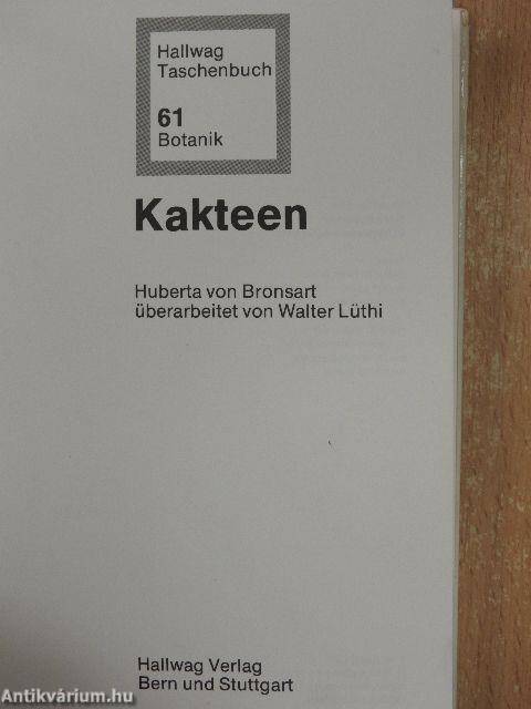 Kakteen