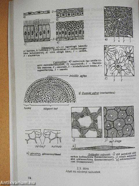 Anyagismeret és minősítés