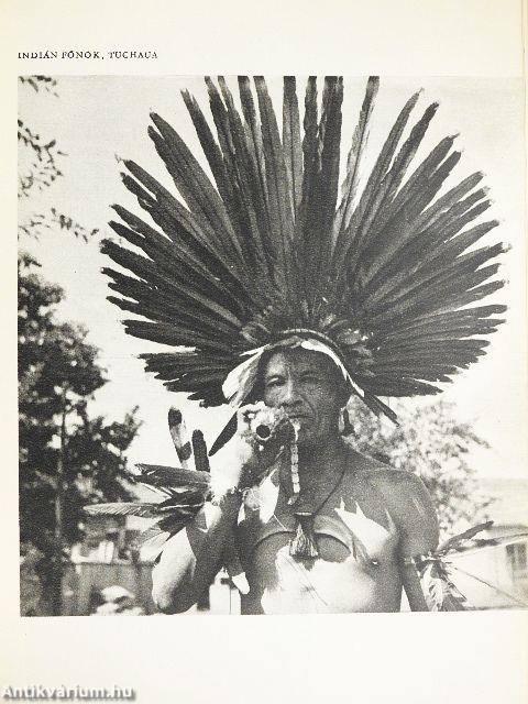 Horgászom az Amazonason