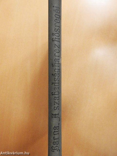 A szabadságharc hősregéi