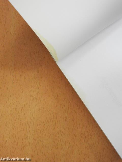 Az elvarázsolt Hegy (dedikált példány)