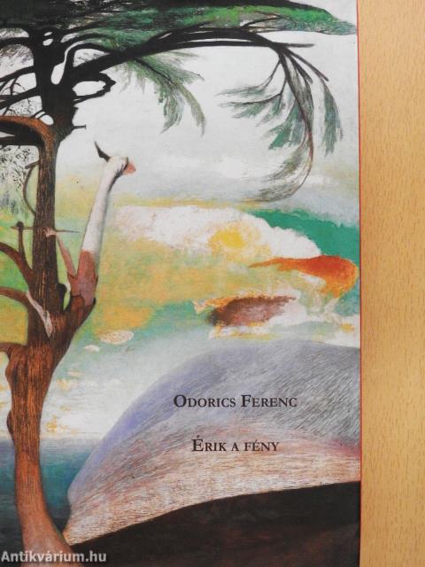 Érik a fény (dedikált példány)