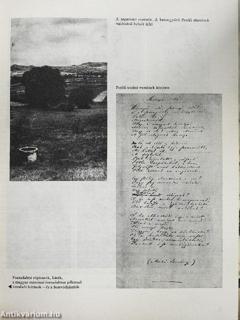 Forradalom és szabadságharc 1848-49