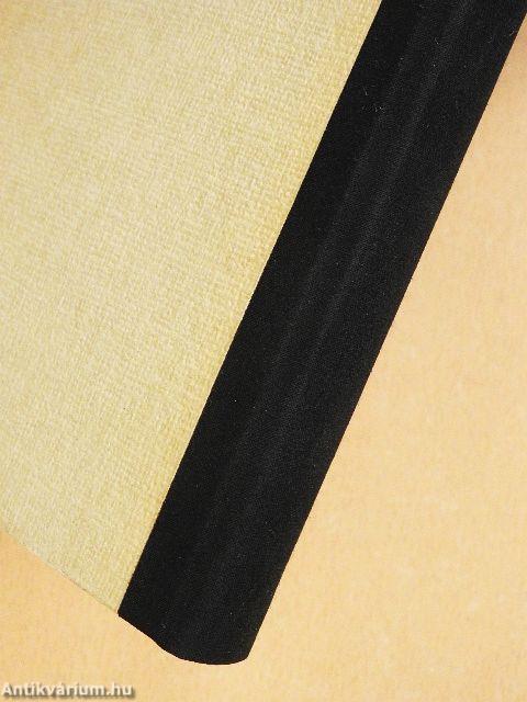 Amerikai magyarok nyomában