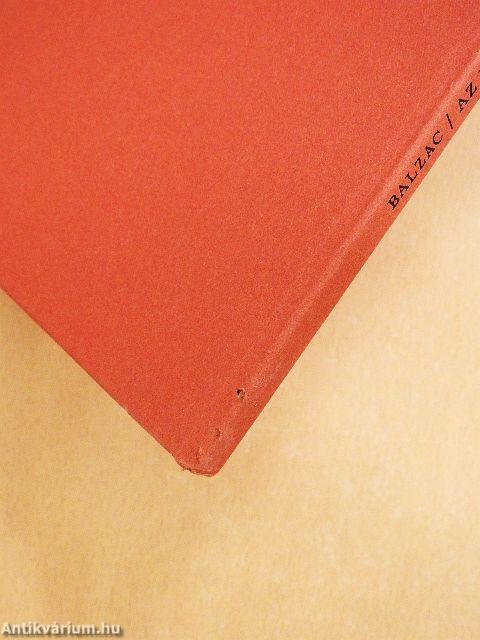 Az ismeretlen remekmű