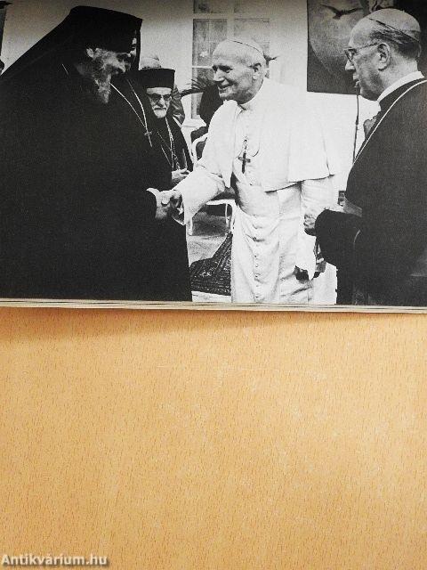 II. János Pál Ausztriában