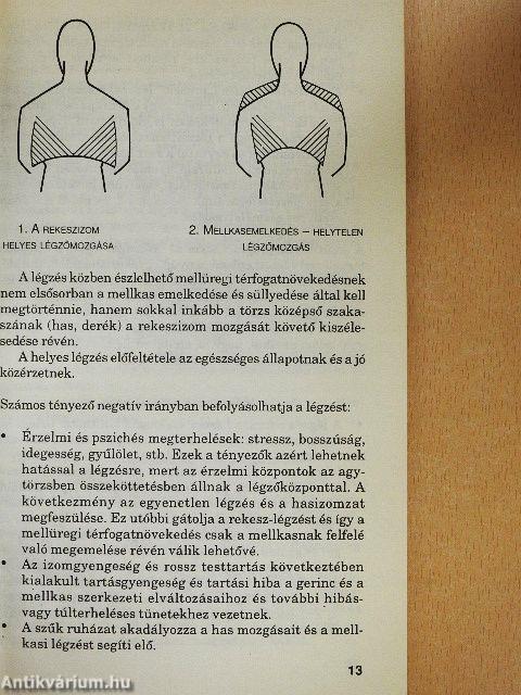 Nincs többé hátfájás!