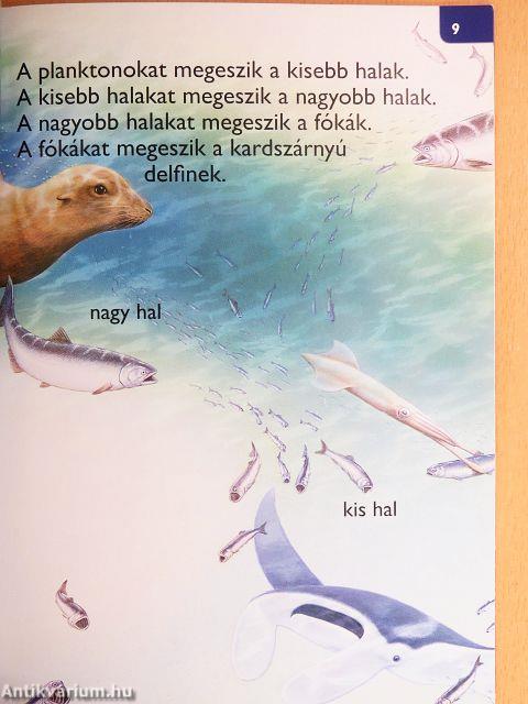 A tenger mélyén