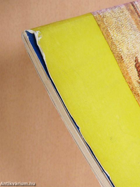 Az aquincumi Hercules-villa