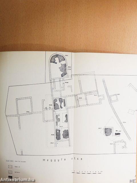 Az aquincumi Hercules-villa