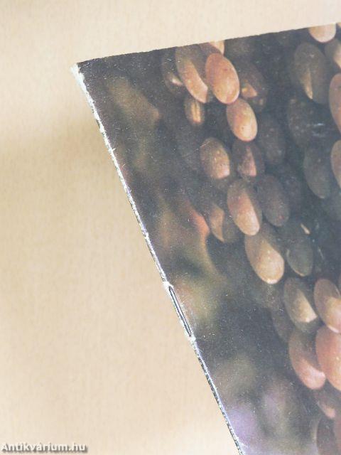 Házikerti szőlők növényvédelme