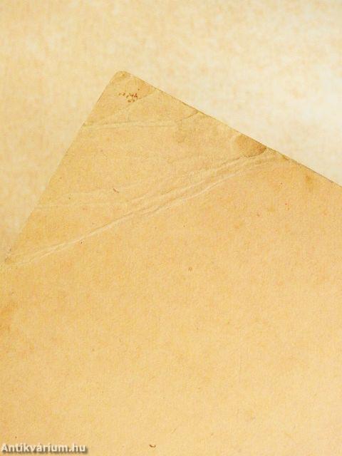 Néhány szó a rózsáról