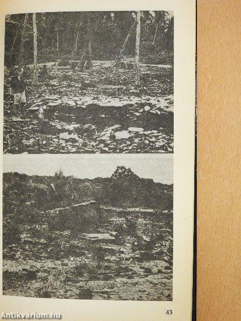 Kalandok ég és föld között