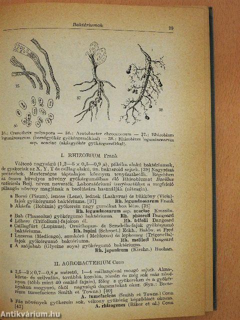 Növényhatározó I.