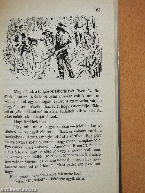 Az Ezüst-tó kincse