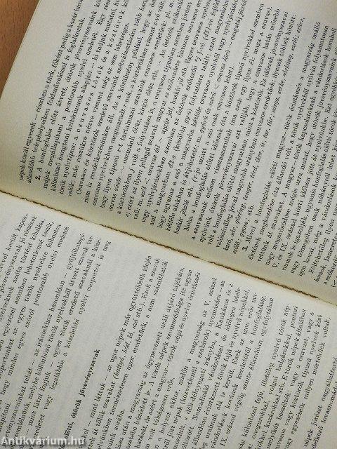 A magyar nyelv története