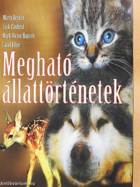 Megható állattörténetek