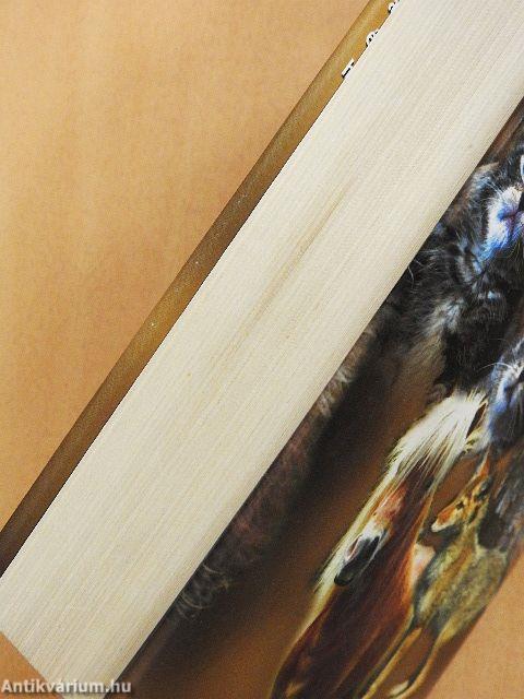 Megható állattörténetek