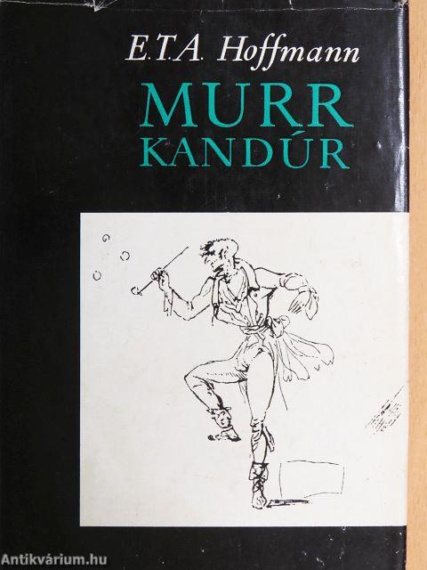 Murr Kandúr életszemlélete, valamint Johannes Kreisler karmester töredékes életrajza