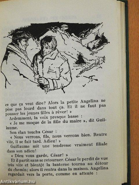 Belle et Sébastien