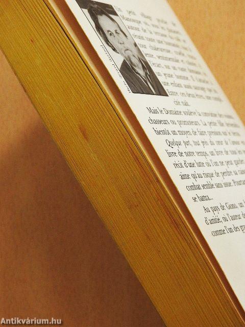 Quelque part, tout prés du coeur de l'amour