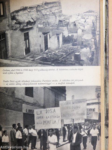 A Tiszteletreméltó Társaság