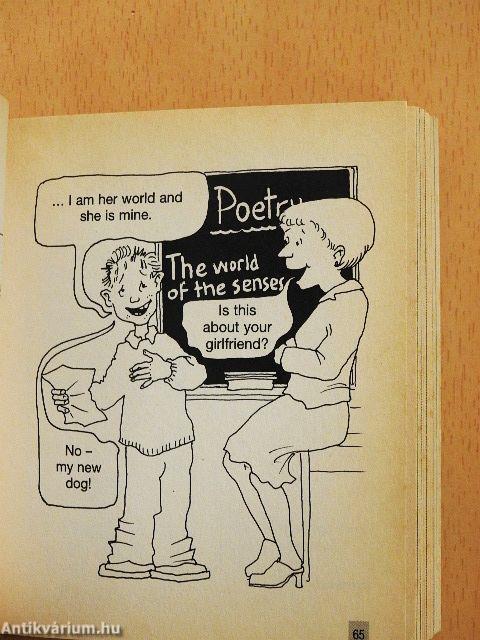 Descriptions in English