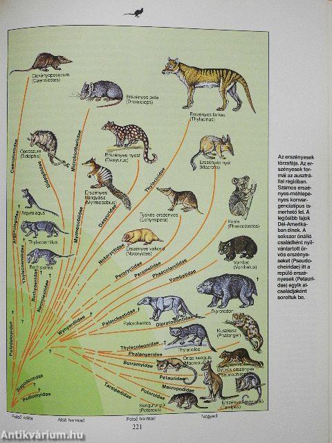 Emlősök enciklopédiája I-II.