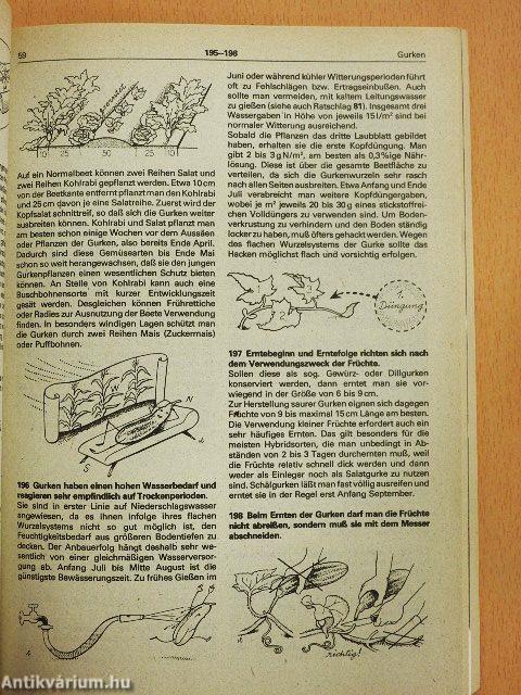 600 Ratschläge für den Gemüsegarten