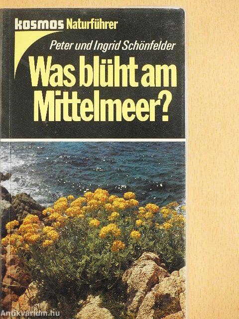 Was blüht am Mittelmeer?