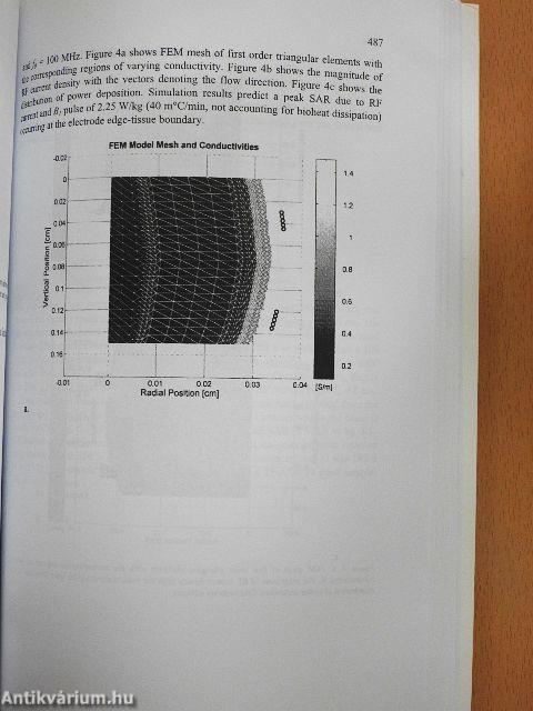 Radio Frequency Radiation Dosimetry