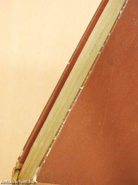 Harc a szalamandrákkal