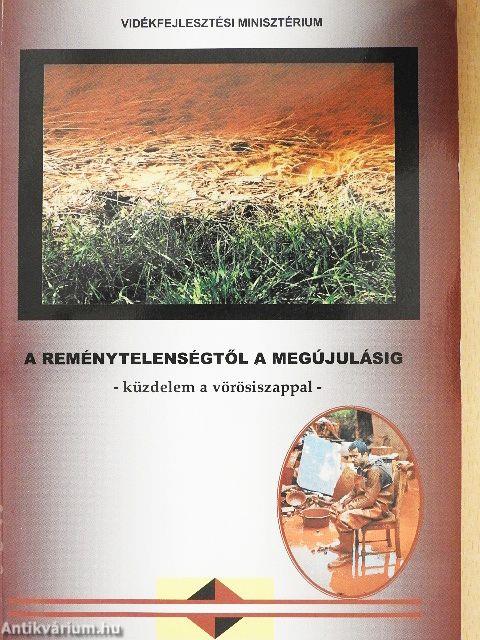 A reménytelenségtől a megújulásig