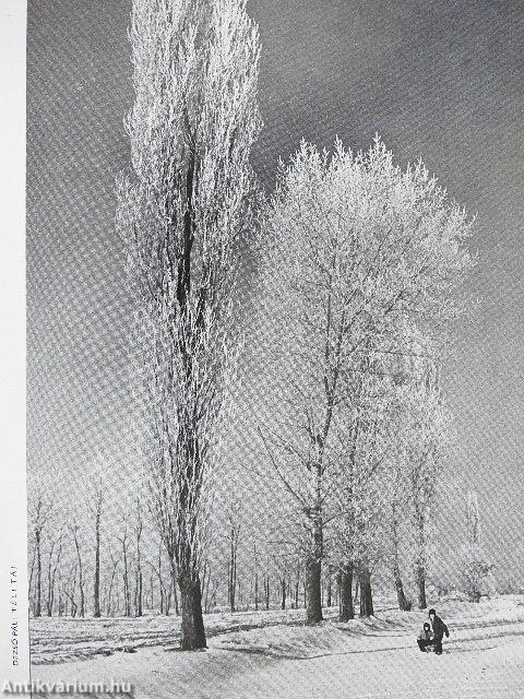 Fotó 1969. (nem teljes évfolyam)